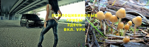 ешки Арсеньев