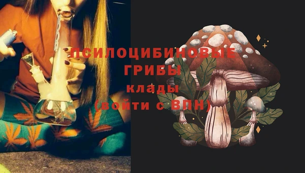 ешки Арсеньев