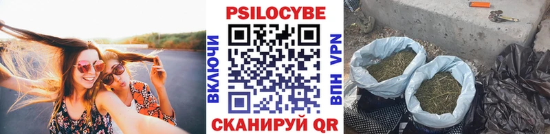 Псилоцибиновые грибы мухоморы  где можно купить наркотик  Терек 
