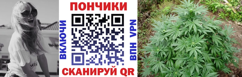 дарнет шоп  Терек  Канабис THC 21% 